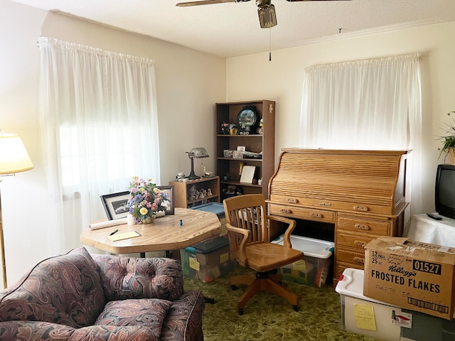 living area featuring ceiling fan and a textured ceiling