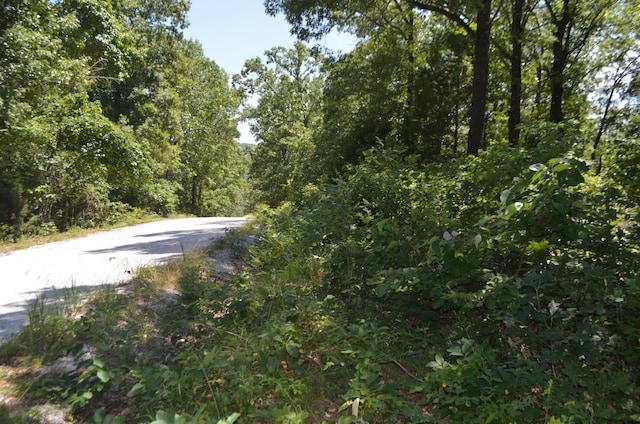 LOT26-1 High View Cir, Bruner, MO 65620