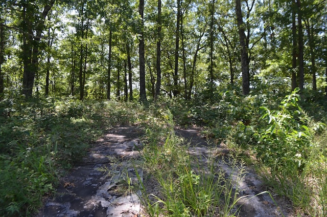 LOT26-1 High View Cir, Bruner, MO 65620