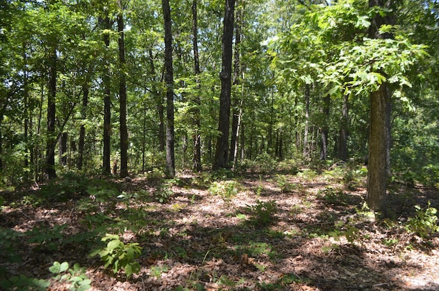 LOT26-1 High View Cir, Bruner, MO 65620