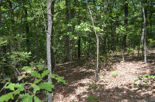 LOT26-1 High View Cir, Bruner, MO 65620