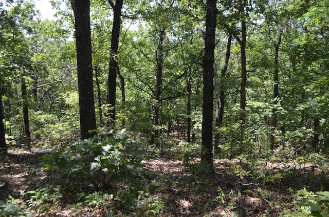 LOT26-1 High View Cir, Bruner, MO 65620