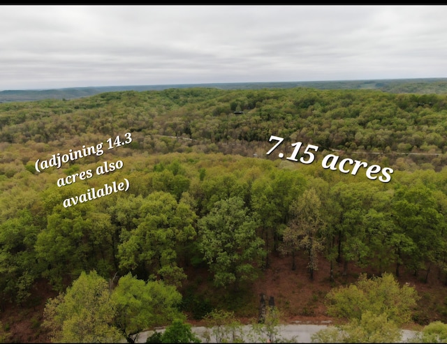 LOT26-1 High View Cir, Bruner, MO 65620
