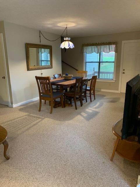 view of carpeted dining room