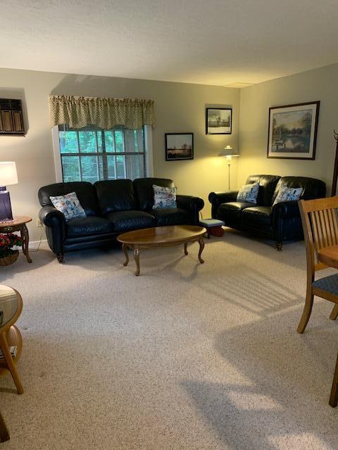 living room featuring carpet floors