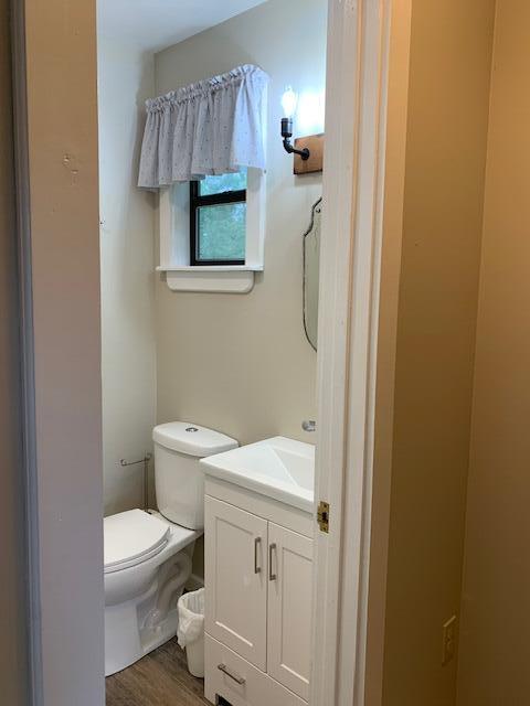 bathroom with vanity, hardwood / wood-style floors, and toilet