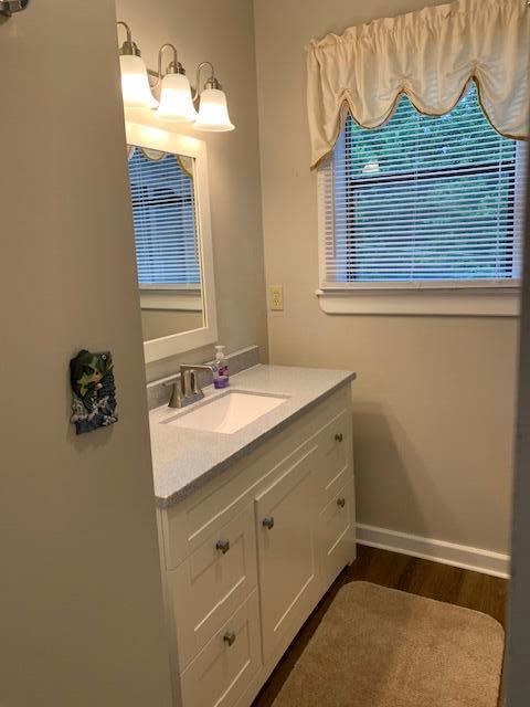 43 Dale Dr, Kimberling City, MO 65686 - bathroom featuring baseboards, a healthy amount of sunlight, vanity, and wood finished floors