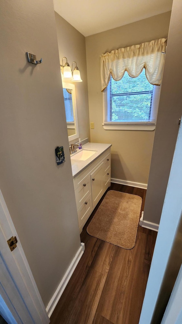 bathroom with wood-type flooring and vanity