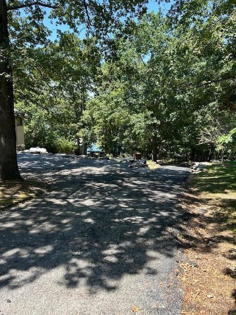 43 Dale Dr, Kimberling City, MO 65686 - view of street