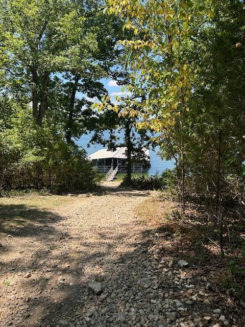 43 Dale Dr, Kimberling City, MO 65686 - view of yard