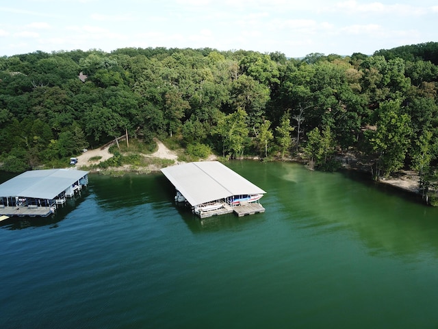 43 Dale Dr, Kimberling City, MO 65686 - view of dock with a forest view and a water view