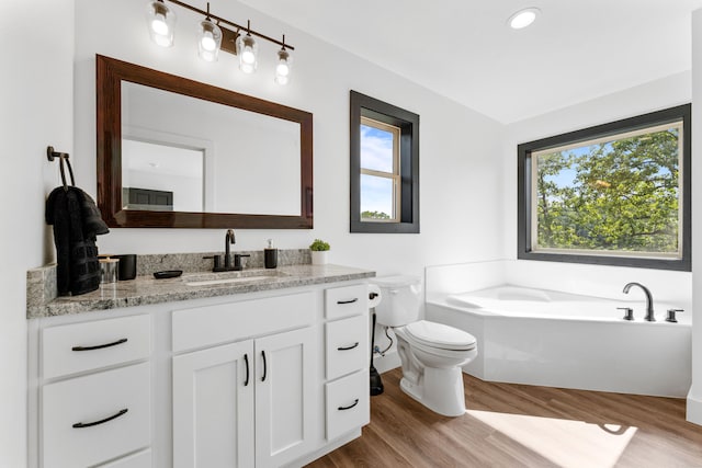 bathroom with vanity, toilet, a washtub, and a healthy amount of sunlight