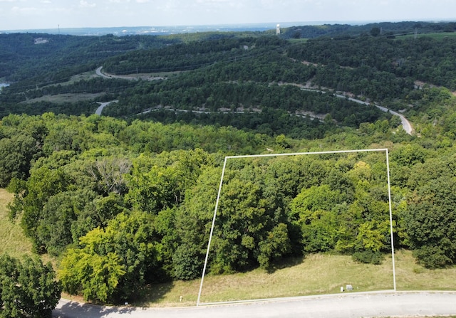 170 Eagle Crst, Hollister, MO 65672