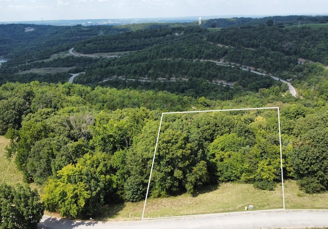 170 Eagle Crst, Hollister MO, 65672 land for sale