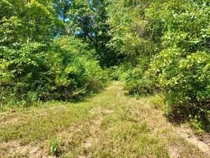 000 Golden Run Ln Unit 28, Shell Knob, MO 65747