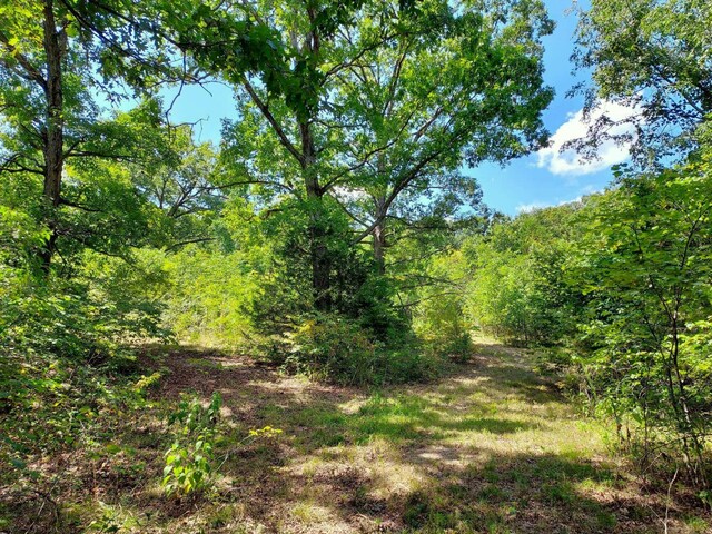 000 Golden Run Ln Unit 28, Shell Knob, MO 65747