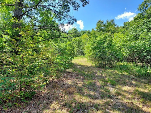 000 Golden Run Ln Unit 28, Shell Knob, MO 65747