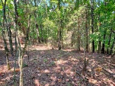 000 Golden Run Ln Unit 28, Shell Knob, MO 65747