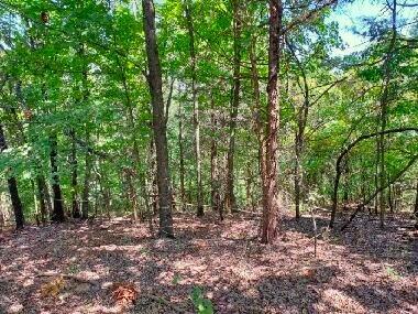 000 Golden Run Ln Unit 28, Shell Knob, MO 65747