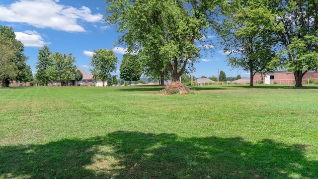 view of yard