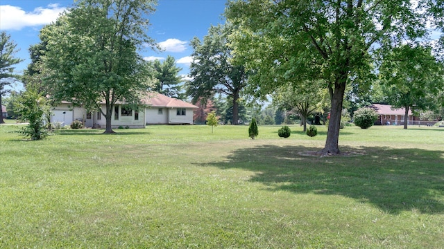 view of yard featuring an attached garage