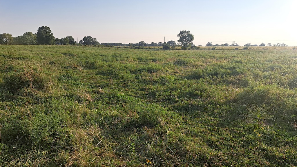 000 Johns Ford Rd, Rogersville, MO 65742