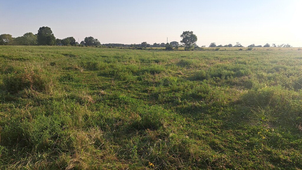 000 Johns Ford Rd, Rogersville, MO 65742 - photo 4