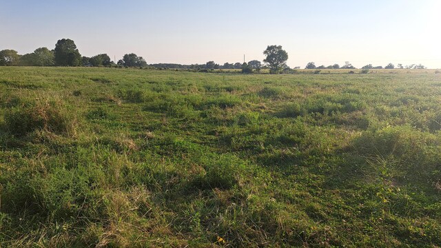 000 Johns Ford Rd, Rogersville, MO 65742 - photo 4