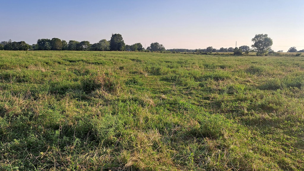 000 Johns Ford Rd, Rogersville, MO 65742