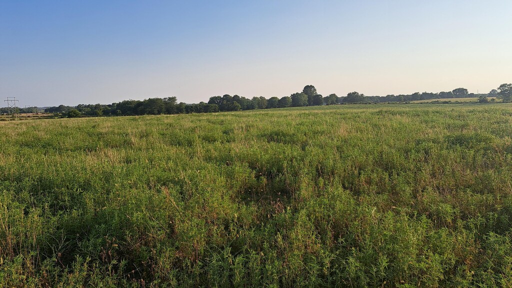 000 Johns Ford Rd, Rogersville, MO 65742 - photo 1