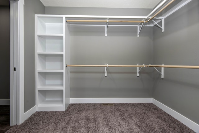 3668 W Overland St, Springfield, MO 65807 - spacious closet featuring carpet flooring