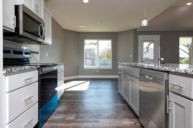 kitchen with white cabinets, a wealth of natural light, appliances with stainless steel finishes, and dark hardwood / wood-style flooring