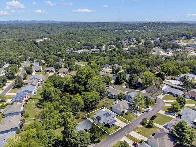 bird's eye view