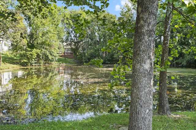 view of nature with a water view