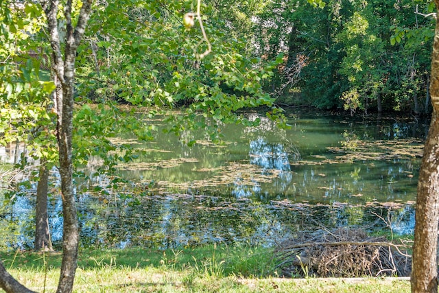 view of landscape with a water view