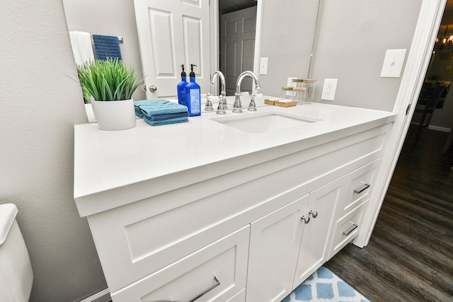 bathroom with wood-type flooring and vanity