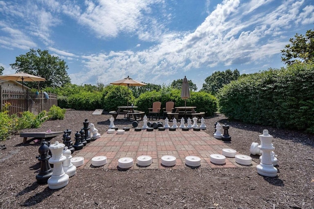 view of yard featuring a patio area