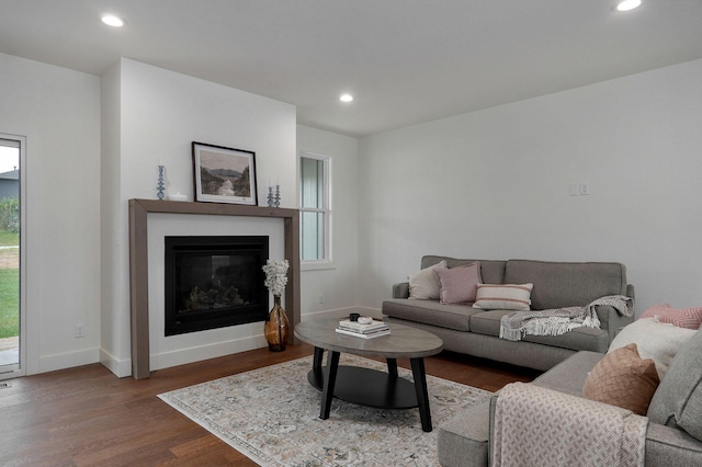 living room featuring hardwood / wood-style floors and a wealth of natural light