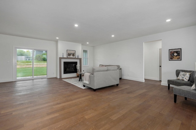 living room with wood-type flooring