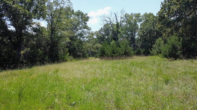 view of landscape