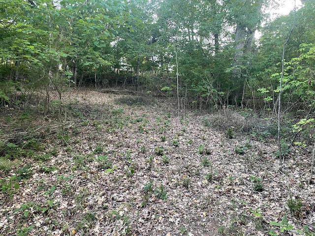 Listing photo 2 for LOT75 Country Ln, Blue Eye MO 65611