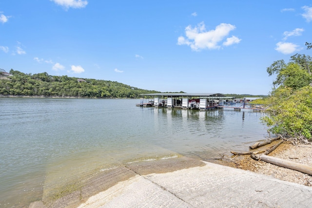 dock area with a water view