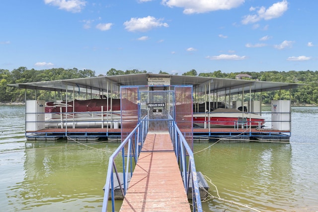 dock area with a water view