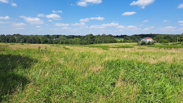 view of local wilderness with a rural view