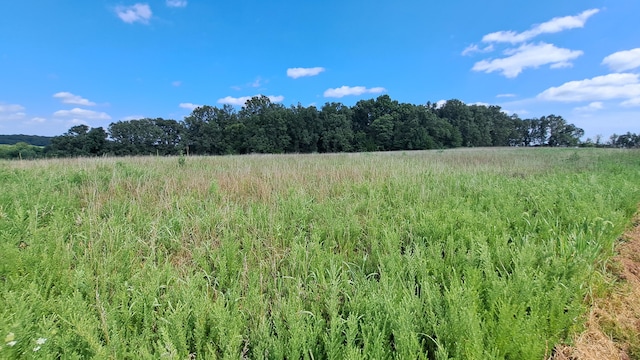 view of nature featuring a rural view