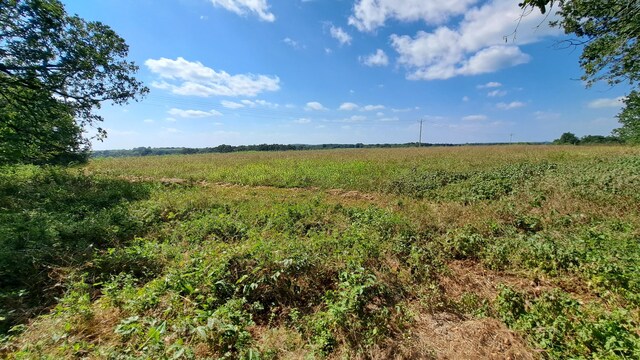 view of local wilderness with a rural view