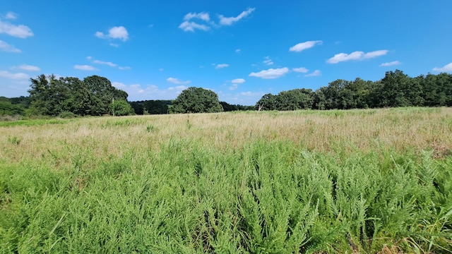 view of nature featuring a rural view