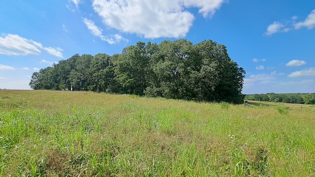 view of nature with a rural view