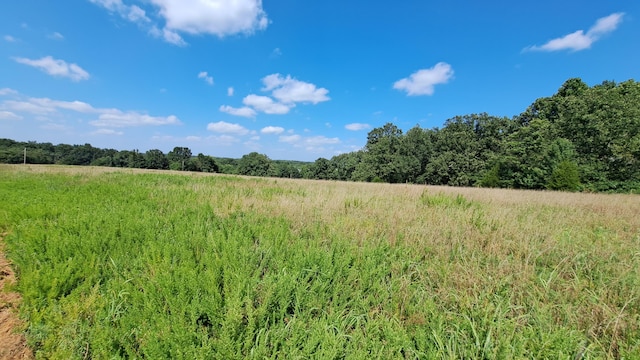 view of landscape featuring a rural view