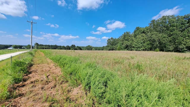 view of local wilderness with a rural view